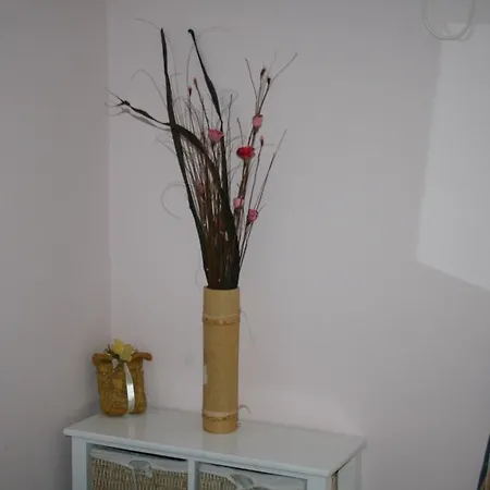 Aparthotel Castrum Novum Novigrad Istria