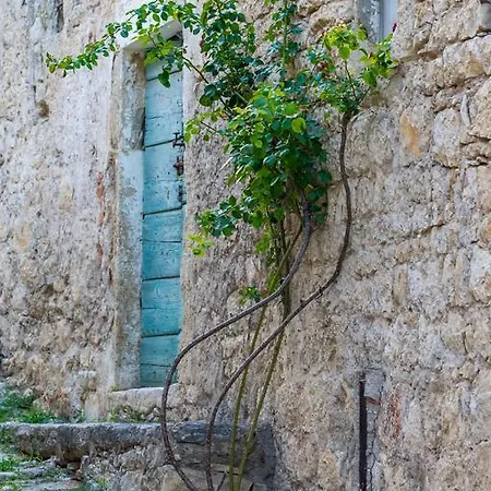 Aparthotel Castrum Novum 3* Novigrad Istria